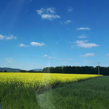 Agroturystyka "Jagap" Oaza Spokoju Dzierżoniów Exterior foto